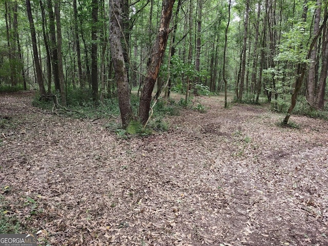 Listing photo 3 for 7001 Coatsworth Dr Lot 1, Stockbridge GA 30281