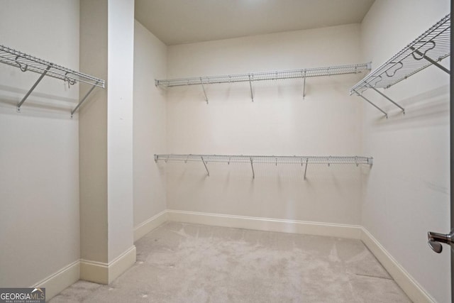 spacious closet featuring carpet