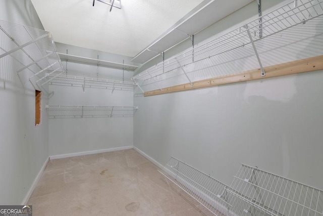 spacious closet with carpet floors