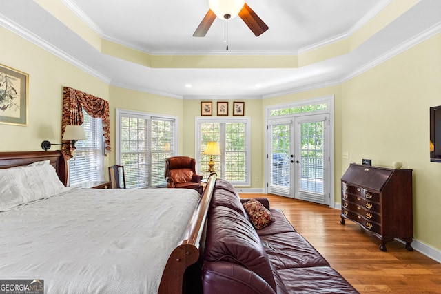 bedroom featuring multiple windows, a raised ceiling, and access to outside