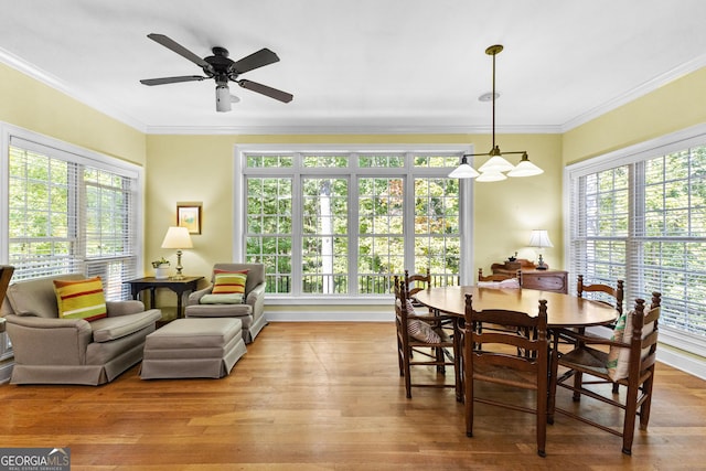 dining area featuring a healthy amount of sunlight, crown molding, and wood finished floors