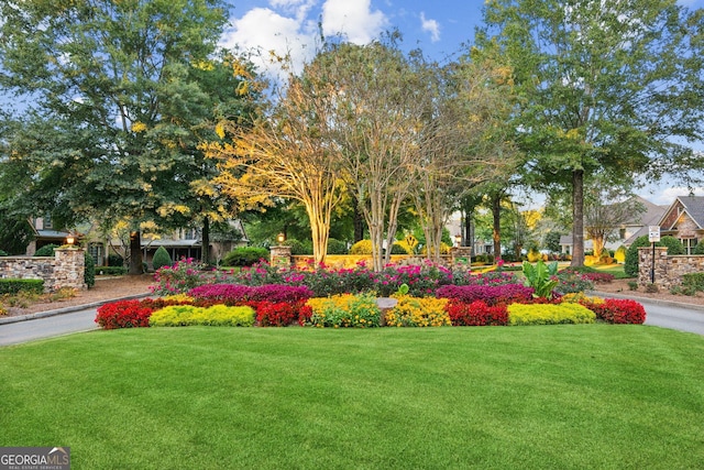 surrounding community featuring a lawn