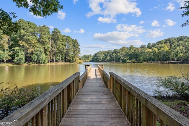 dock area featuring a water view