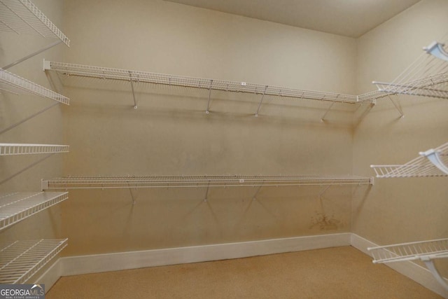 spacious closet with carpet floors