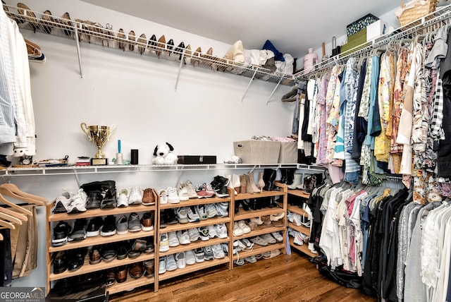 spacious closet featuring wood-type flooring