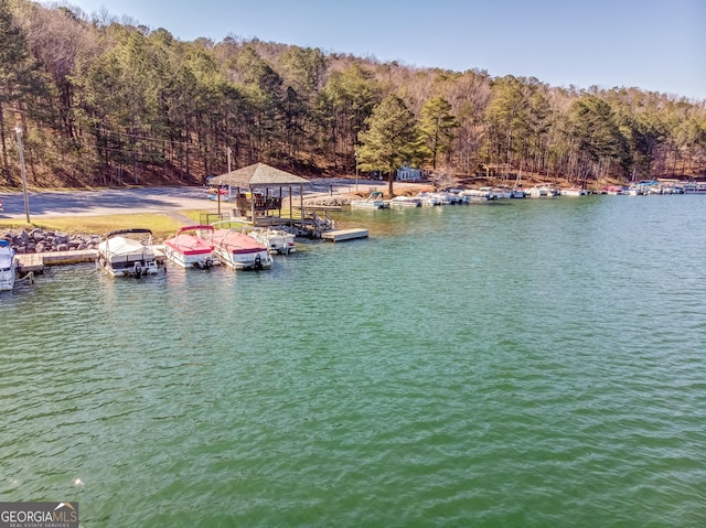 117 Leopard Ct, Waleska, GA 30183