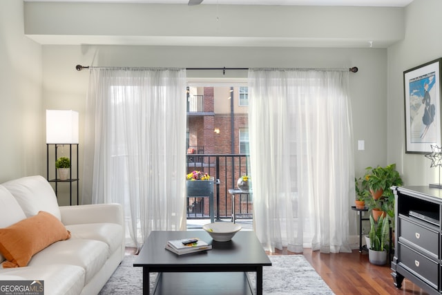 living room with hardwood / wood-style flooring