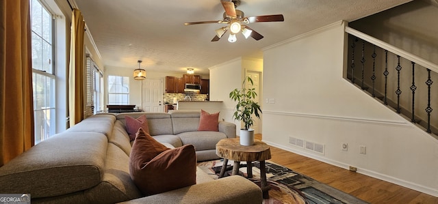 living room with ceiling fan, ornamental molding, wood-type flooring, and a textured ceiling