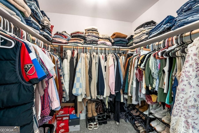 walk in closet featuring carpet