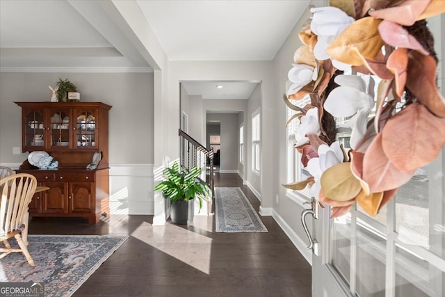 foyer with dark wood-type flooring