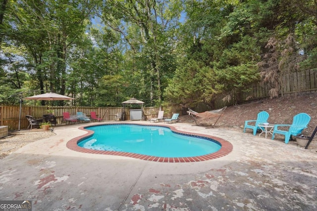 view of pool featuring a patio area