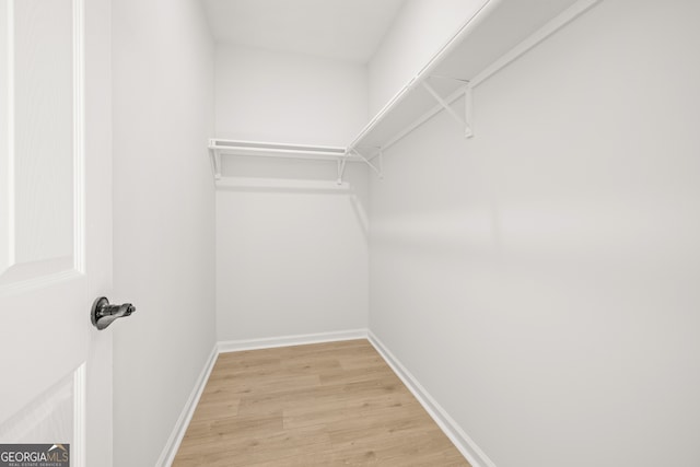 spacious closet with light wood-type flooring