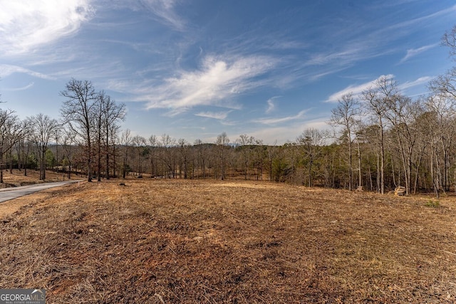 7 Arbor Creek Trl, Mineral Bluff GA, 30559 land for sale