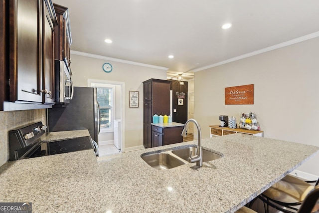 kitchen with sink, stainless steel appliances, dark brown cabinetry, and kitchen peninsula