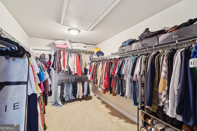 spacious closet featuring carpet floors