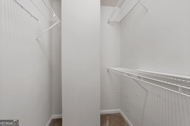 spacious closet with carpet floors