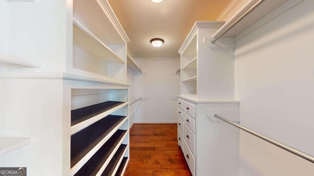 spacious closet featuring dark hardwood / wood-style floors