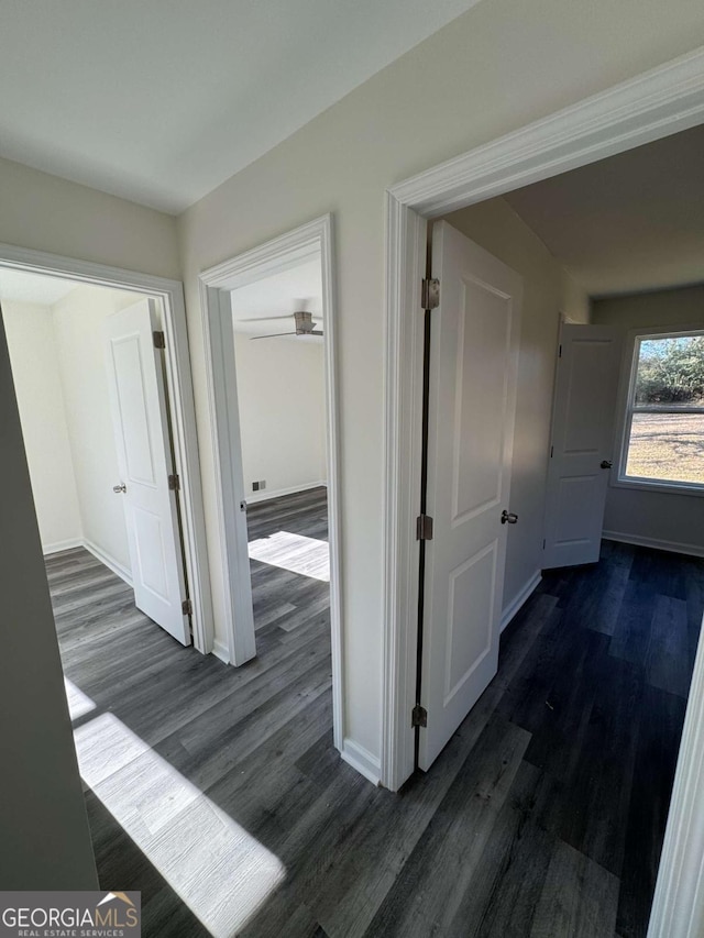 hallway with dark hardwood / wood-style floors