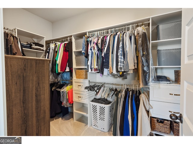 walk in closet with light colored carpet