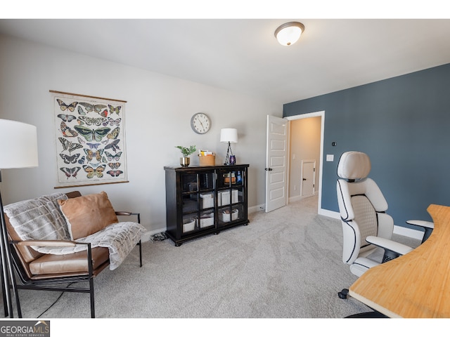 office featuring light colored carpet