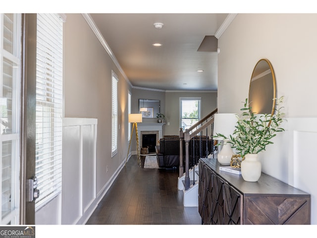 hall with crown molding and dark wood-type flooring