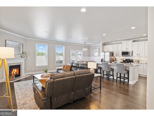 living room with sink, dark wood-type flooring, and ornamental molding