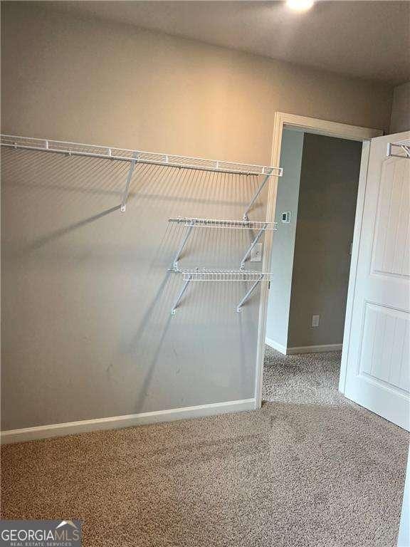 walk in closet with carpet