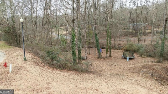 view of yard featuring a trampoline