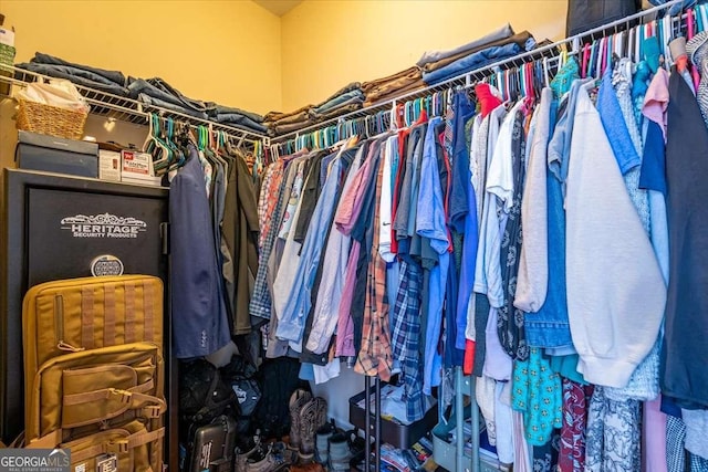 view of spacious closet