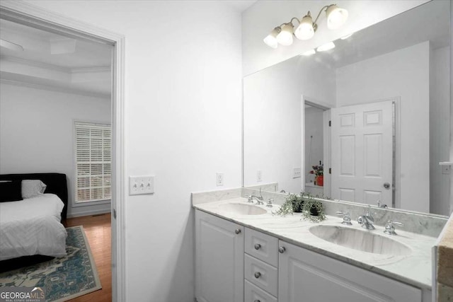 bathroom with wood-type flooring, ornamental molding, a tray ceiling, and vanity