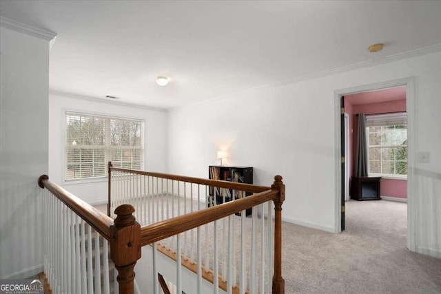 hallway featuring light carpet and crown molding