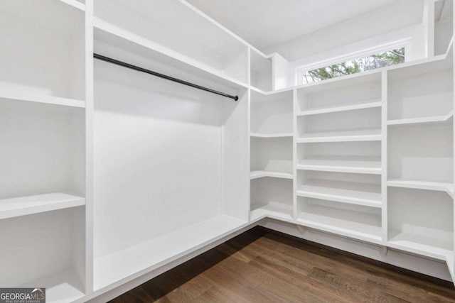 walk in closet featuring hardwood / wood-style flooring