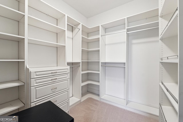 spacious closet featuring light colored carpet