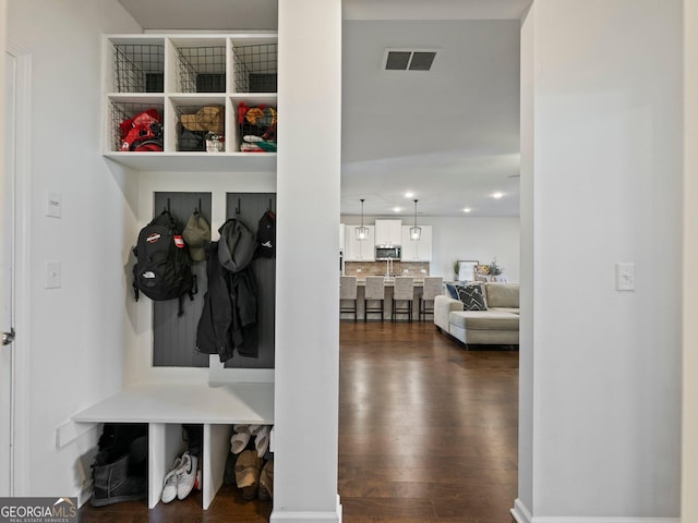 mudroom featuring dark wood-type flooring