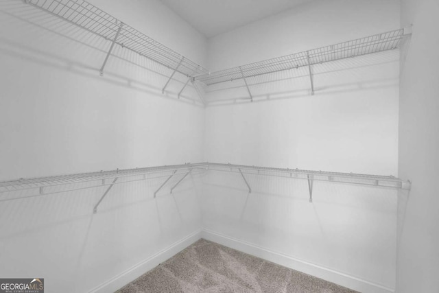 spacious closet with carpet flooring