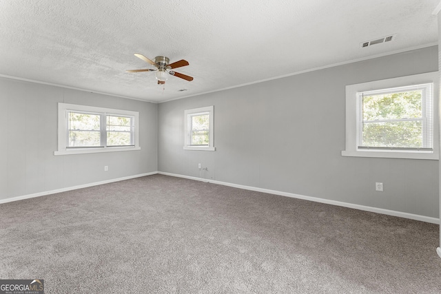 spare room featuring carpet flooring, crown molding, plenty of natural light, and a textured ceiling