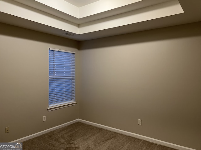 spare room with carpet floors