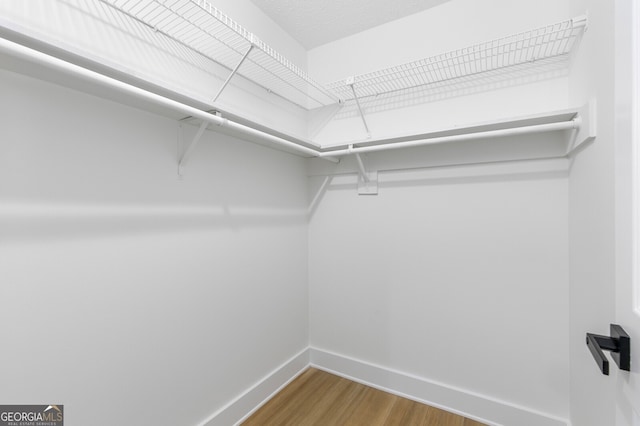 walk in closet featuring hardwood / wood-style flooring