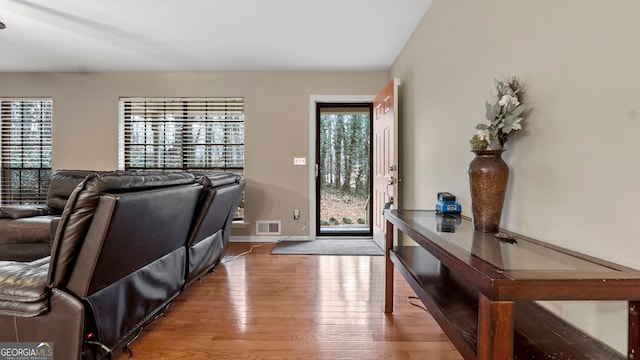 entrance foyer with wood-type flooring and a wealth of natural light