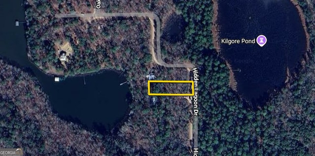 Listing photo 2 for 0 Hidden Lagoon Dr, Fort Gaines GA 39851