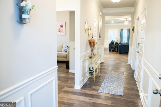 corridor featuring ornamental molding and dark hardwood / wood-style floors