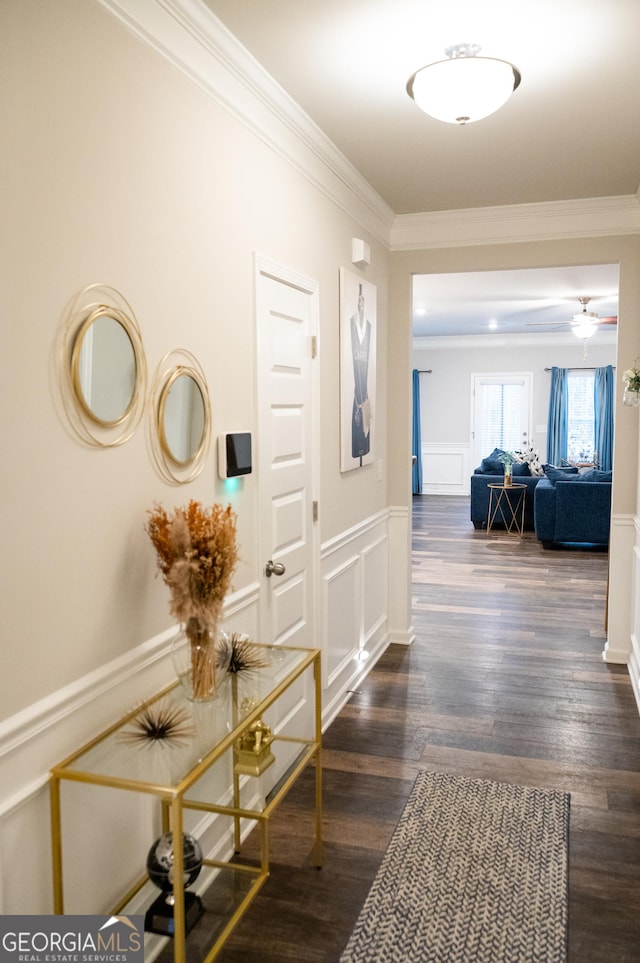 hallway with crown molding and dark hardwood / wood-style flooring