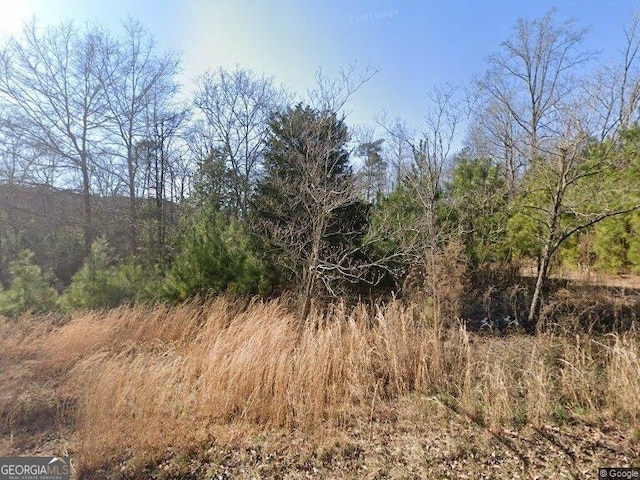 view of local wilderness