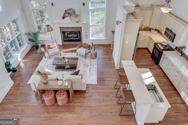 living room featuring a fireplace and light hardwood / wood-style floors