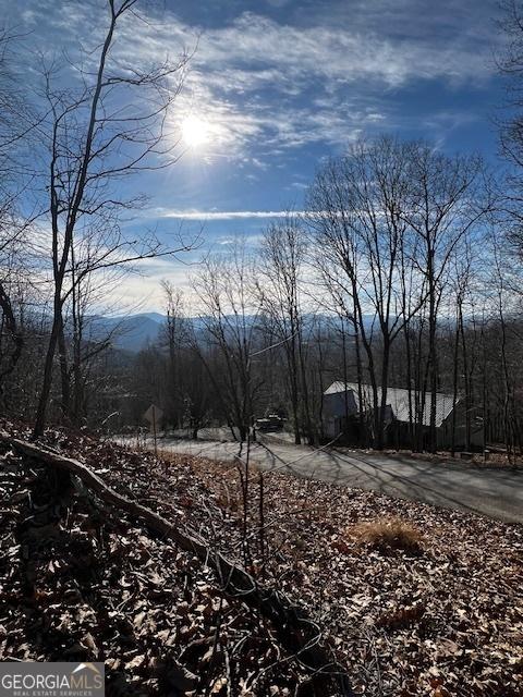 LOT54 Sunny View Dr, Blairsville GA, 30512 land for sale