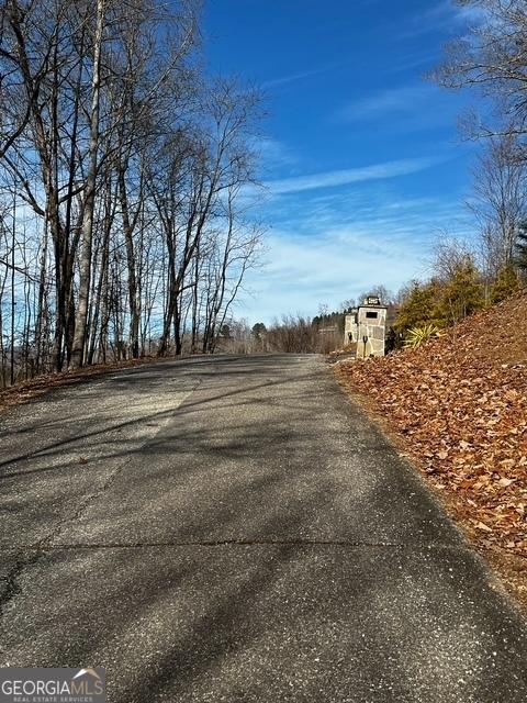 Listing photo 3 for LOT54 Sunny View Dr, Blairsville GA 30512