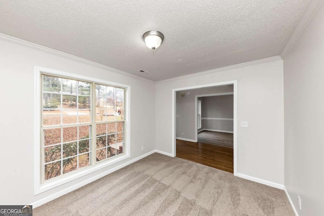 spare room featuring carpet flooring, a textured ceiling, and ornamental molding