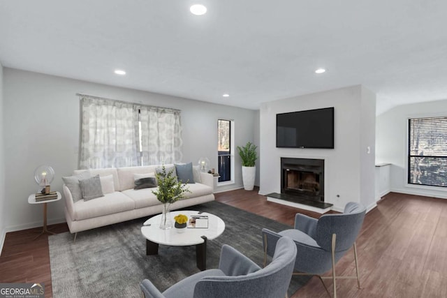 living room featuring dark hardwood / wood-style flooring