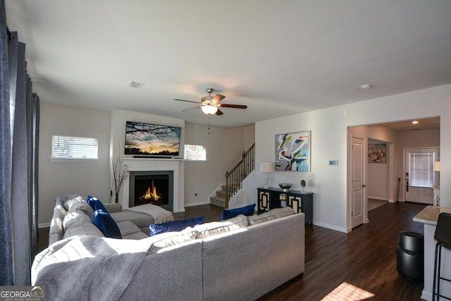 living room featuring ceiling fan and dark hardwood / wood-style flooring