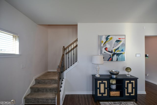 stairway with hardwood / wood-style floors